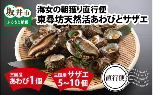 海女の朝獲り直行便 東尋坊天然活あわびとサザエ 【アワビ あわび さざえ 栄螺 貝 天然 魚貝 海産物 海鮮 鮮魚 刺身 BBQ 国産 産地直送】[E-6001]