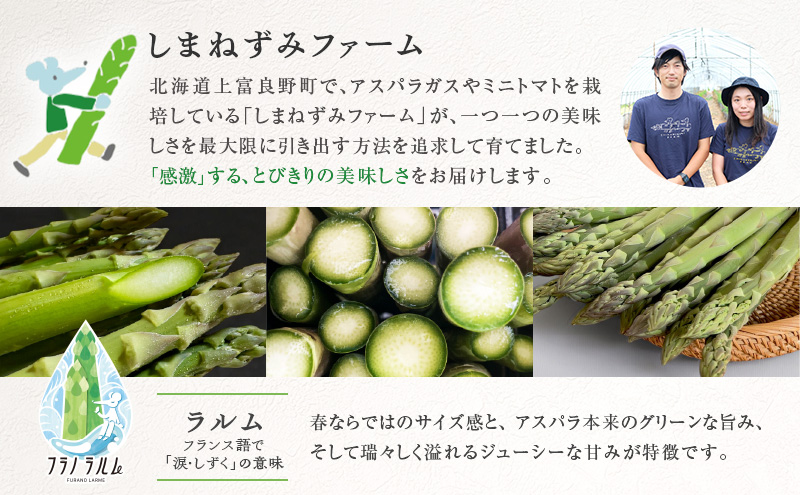 【令和8年産】 〔メディア掲載されました〕 グリーン アスパラガス 3L 400g 春アスパラ 野菜 旬 新鮮 産地直送 甘い 極太 お取り寄せ グルメ 高評価 限定 北海道 上富良野産