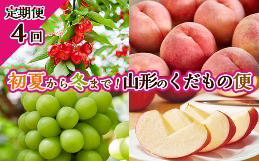【定期便4回】初夏から冬まで！山形のくだもの便 【令和7年産先行予約】FU23-701 くだもの 果物 フルーツ 山形 山形県 山形市 2025年産