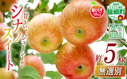 りんご シナノスイート 葉とらず 無選別 5kg エバラ農園 減農薬栽培 沖縄県への配送不可 2026年10月中旬頃から2026年11月下旬頃まで順次発送予定 令和8年度収穫分 信州 果物 フルーツ リンゴ 林檎 長野 予約 農家直送 長野県 飯綱町 [1631]