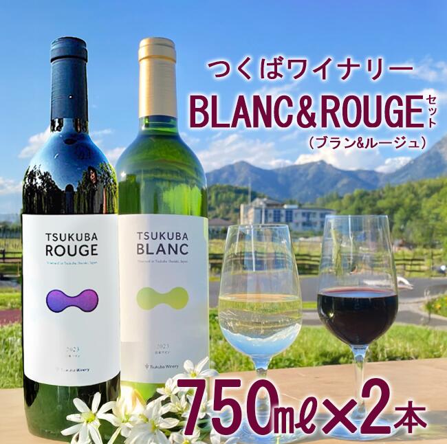【ふるさと納税】つくばワイナリー TSUKUBA BLANC & ROUGE セット | お酒 葡萄 ぶどう ブドウ 茨城県 つくば市 ワイナリー ワイン 赤ワイン 白ワイン