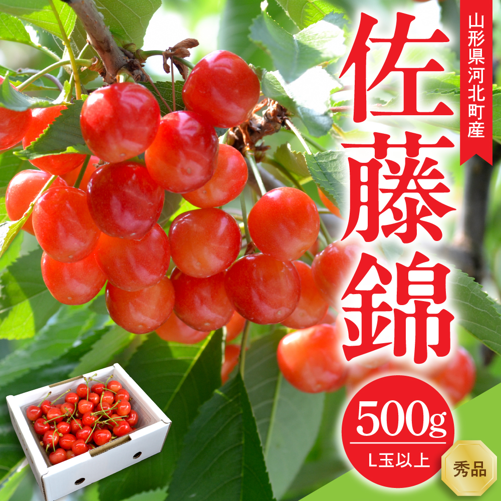 【令和9年産】さくらんぼ 佐藤錦 500g L玉以上 ギフト箱入 秀品 山形県産【山形eLab】フルーツ 人気 贈答 ふるさと納税 河北町 2027年産 ka074-051 500g