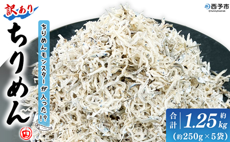 ＜ちりめんモンスターが入った!? 訳あり ちりめん 約1.25kg(250g×5袋)＞ちりめんじゃこ 海鮮 海産物 丼 おにぎり 具材 ご飯 おつまみ おやつ 小魚 乾物 国産 マルヨシ水産 特産品 愛媛県 西予市【冷蔵】『1か月以内に順次出荷予定』AMS0024