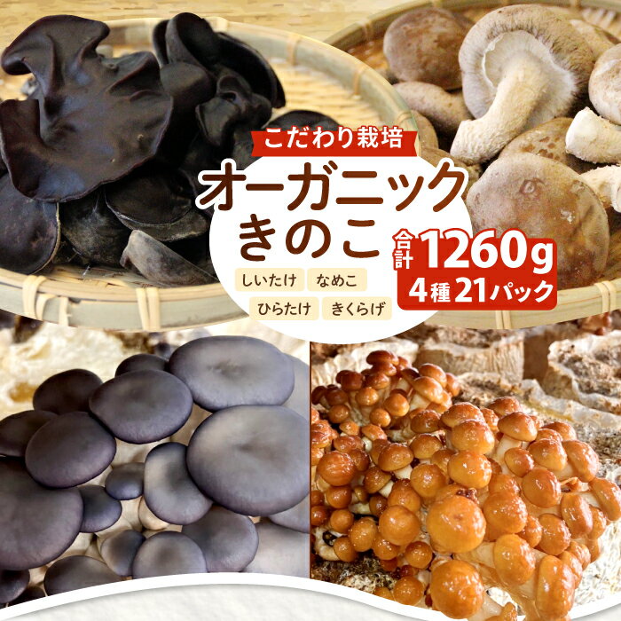 【ふるさと納税】HO03：鳥取県産オーガニックきのこバラエティセット