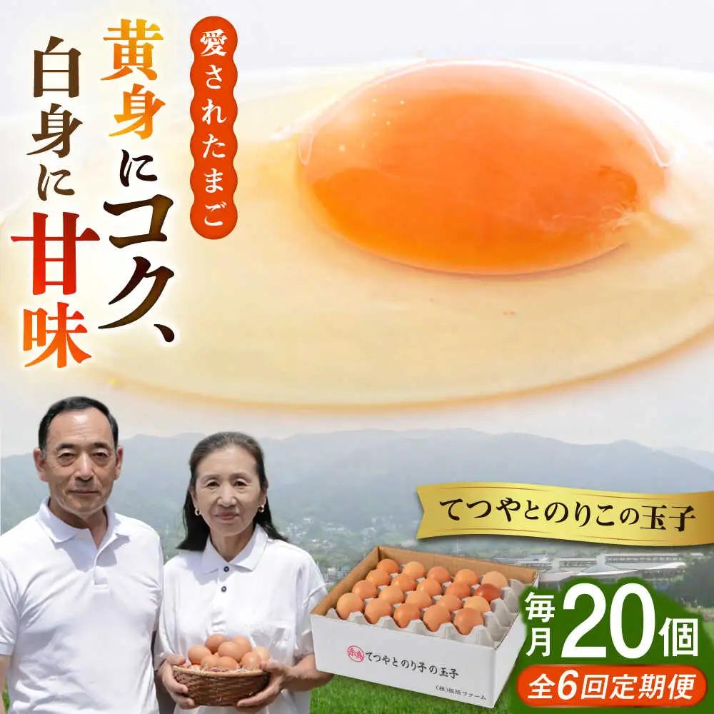 【全6回定期便】卵 20個 てつやとのりこの玉子 卵 たまご 定期便[AWD017]