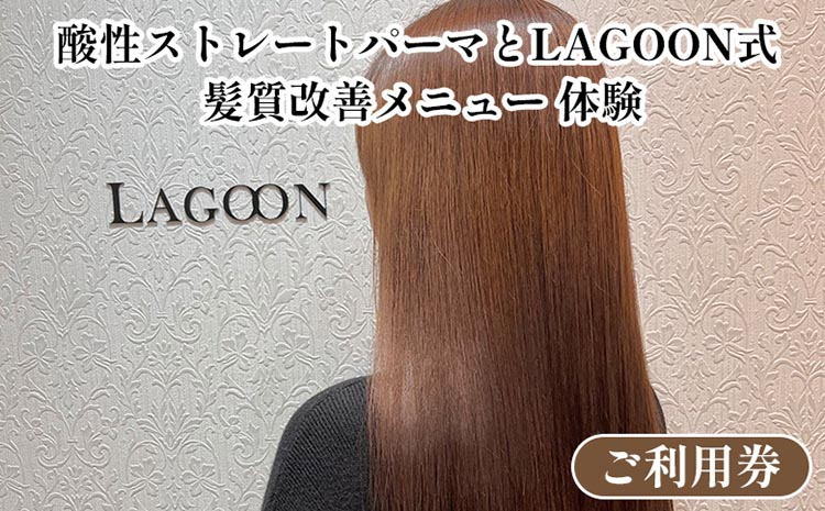 
            酸性ストレートパーマとLAGOON式 髪質改善メニュー 《体験 ご利用券 美容 サロン 美容室 ヘアケア トレーニング ケア 美容体験 チケット》
          