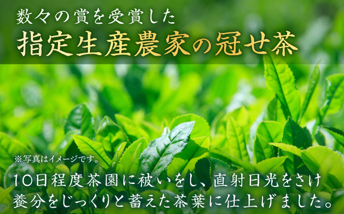 【2024新茶】そのぎ茶 (極上) 100g×3袋入り 東彼杵町/池田茶園 [BAL002] 茶 新茶 お茶 新茶 緑茶 新茶 日本茶 新茶 玉緑茶 新茶 茶 新茶 お茶 新茶 緑茶 新茶 日本茶 新