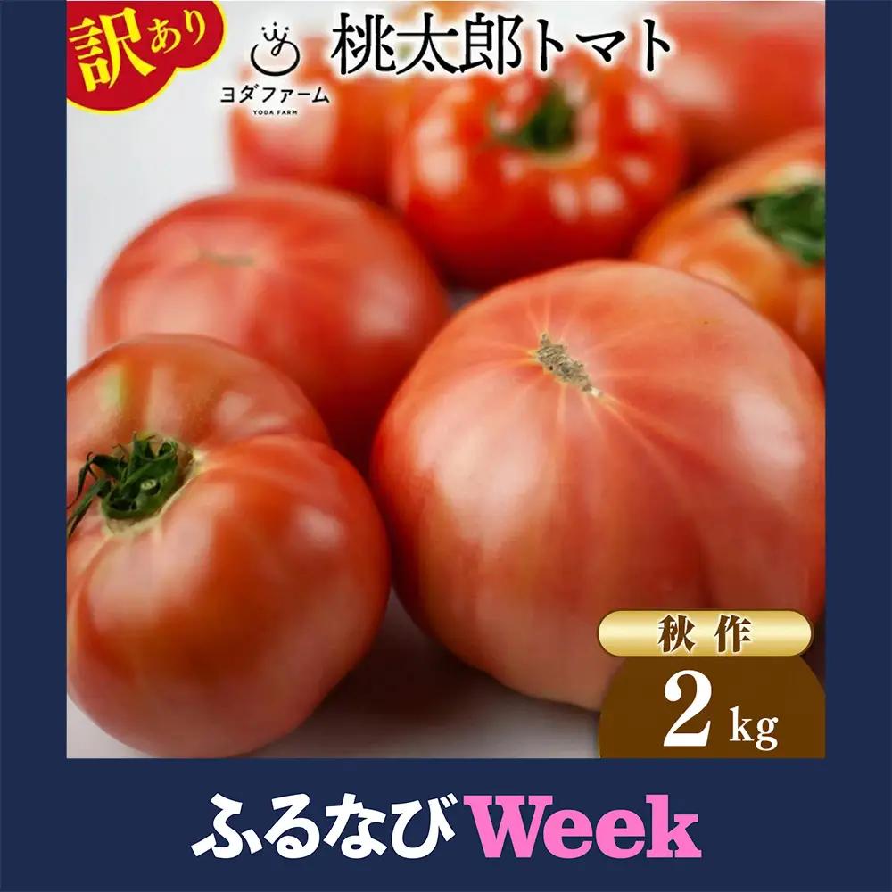 【ふるなびWEEK対象】【2026年10月下旬-12月下旬発送予定】 秋作 訳あり 桃太郎トマト 2kg [ヨダファーム]  