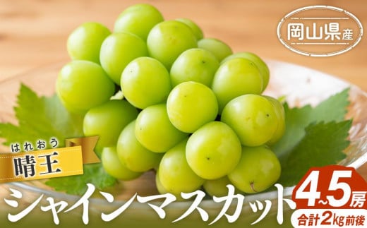 シャインマスカット 2025年  晴王 4～5房 合計2.0kg前後  | フルーツ 果物 くだもの ぶどう ブドウ シャインマスカット 晴王 国産 岡山県産 食品 人気 おすすめ 送料無料 ギフト 贈り物 贈答品 プレゼント 果物 くだもの フルーツ ぶどう ブドウ シャインマスカット 晴王