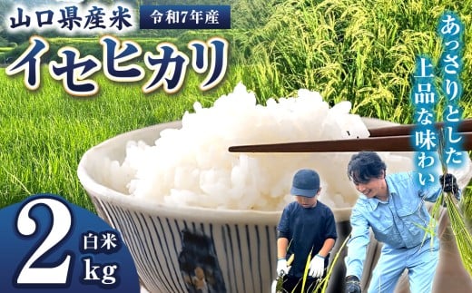 令和7年産 山口県産米 イセヒカリ 2kg ｜ 令和7年産 イセヒカリ 山口県産米 こめ お米 コメ 白米 山口県 平生町