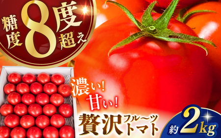 【先行予約】 高知県高知市産 贅沢フルーツトマト 約2kg 〈2027年2月初旬～5月中旬まで発送〉 / トマト とまと フルーツトマト 2kg 2キロ 野菜 果物 サラダ お弁当 デザート 【片山農園】 [ATCI001]
