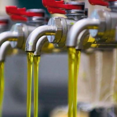 ふるさと納税 御船町 古式圧搾製法一番搾り　純なたね油825g・純ごま油660g　2本セット |  | 03