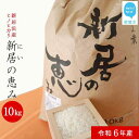 【ふるさと納税】 白米 新米 えひめ未来農業協同組合 ブランド米 「新居の恵み (ヒノヒカリ) 令和6年産」 10kg