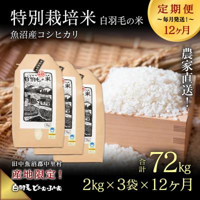 ふるさと納税 十日町市 【毎月定期便】農家直送!魚沼産コシヒカリ特別栽培 精米(2kg×3袋)全12回
