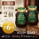 【ふるさと納税】【2ヵ月毎定期便】ストロングマヌカハニー【MGO860+】500g×2個　全6回【4050137】