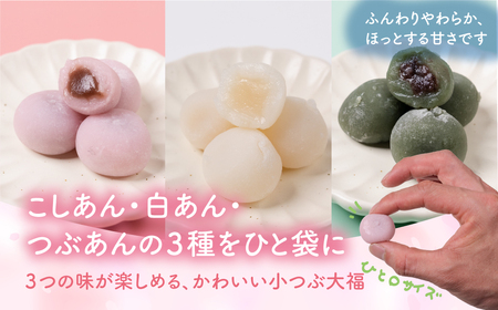 300ｇ子つぶ大福（ミックス/あん3種）2パック