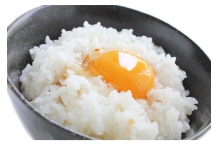 【令和７年産】＜定期便全３回＞ 真庭市産きぬむすめ 白米 ５kg×３回 岡山県 竹中商店 先行予約【tkns-tkb013-cho】