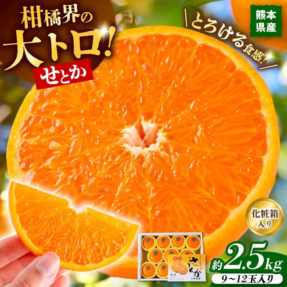 27年2月下発送 せとかみかん約2.5kg化粧箱入り せとか果物ギフトZBN002
