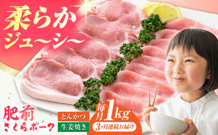 【全3回定期便】肥前さくらポーク 詰め合わせ セット 【JAさが 杵島支所】豚 ロース 豚肉 しょうが焼き とんかつ 生姜焼き トンカツ 豚カツ [HAM072]