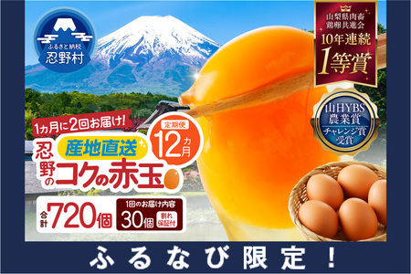 【ふるなび限定】【月2回お届け・12ヶ月定期便】富士山の麓で育った産地直送 ”忍野の卵”※卵25個+割れ保証5個　計720個　FN-Limited-SP