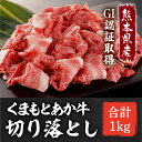 【ふるさと納税】GI認証 くまもとあか牛 切り落とし 計1kg (500g×2P) 熊本 赤牛 あか牛 あかうし 牛肉切り落とし 小分け 切落とし 赤身 冷凍 国産 牛肉【くまふる山都町】[YDG027]