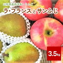 【ふるさと納税】【2025年1月から発送】ラ・フランス と サンふじ りんご 詰合せ 3.5kg ご家庭用 葉とらず 果物 フルーツ 産地直送 山形 お取り寄せ 送料無料 山形県 上山市 0075-2413