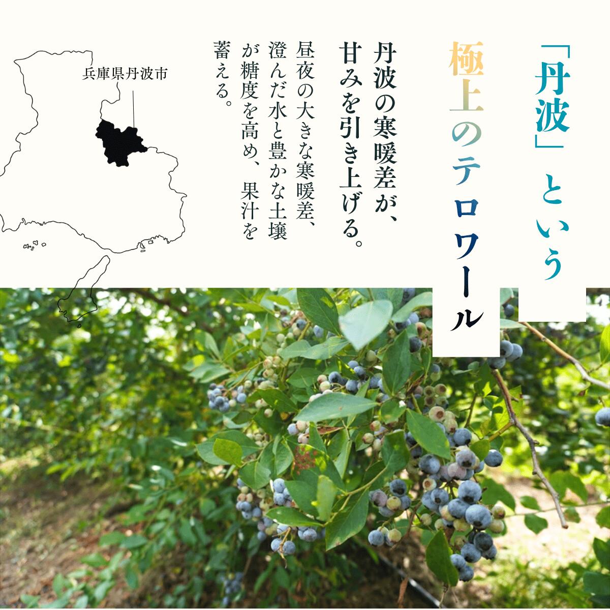 〈先行予約〉令和8年産 丹波市産 ブルーベリー 冷凍 2kg 超大粒 無農薬 有機栽培 ひょうご安心ブランド 果物 フルーツ くだもの ぶるーべりー 産地直送 お取り寄せ 兵庫県 丹波市