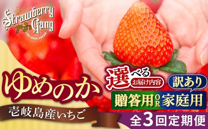 
            【選べる贈答用/訳あり】【全3回定期便】【先行予約】ゆめのか 約250g×4パック《壱岐市》【Strawberry Gang】 [JEM002/004] いちご イチゴ 苺 定期便 果物 フルーツ スムージー 
          