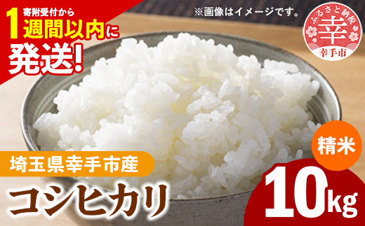 令和7年産 幸手市産 コシヒカリ 白米10kg 色彩選別済 White Rice-  お米 米 こしひかり 精米 10kg 埼玉県 幸手市