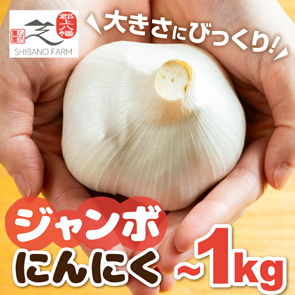 【ふるさと納税】≪7月中旬発送開始≫ 国産ジャンボにんにく 1kg 甘い にんにく 1キロ ニンニク 生にんにく 生ニンニク 大サイズ 大 野菜 旬 美味しい 人気 先行予約 やさい 旬 旬の野菜 大きい 健康 国産 岐阜県 郡上市