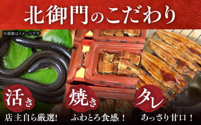 【2回定期便】北御門うなぎ蒲焼3尾入 / 特上 うなぎ 鰻 蒲焼 ウナギ / 諫早市 / 諫早観光物産　コンベンション協会 [AHAB015]