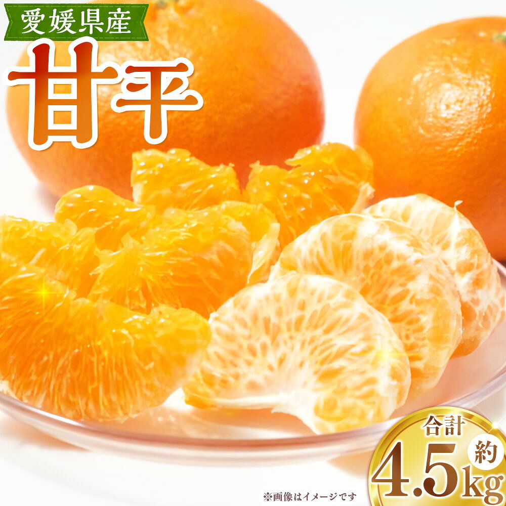 【ふるさと納税】 甘平 約4.5kg 5L～2L みかん ミカン 蜜柑 柑橘 かんきつ フルーツ くだもの 果物 果実 デザート 愛媛県産 国産 愛媛県 送料無料 【2027年1月下旬～2月上旬発送予定】（1124）