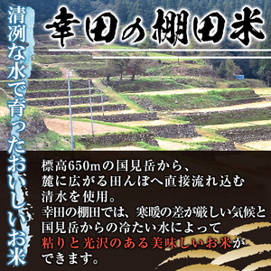 C09 鹿児島県産ひのひかり 棚田米10kgセット(5kg×2袋) 国産 九州産 お米 おこめ 米 10kg おにぎり ごはん ご飯 【くりの物産館】