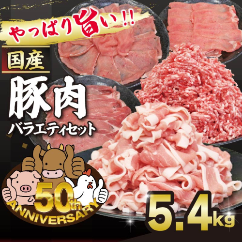 豚肉 満足 バラエティセット ぶたにく ぶた 約5.4kg 土佐備長豚 国産豚肉 国産ぶた 備長炭育ち しゃぶしゃぶ スライス 生姜焼き 豚こま ミンチ 冷凍 小分け 家庭用 贈答用 業務用 ふるさと納税 高知県 室戸市