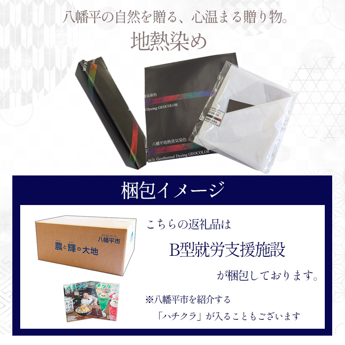 八幡平GEOCOLORペンケース（寒色系）【どれが届くかお楽しみ】 ／ 地熱染め 筆記用具 大人 贈り物 染め物