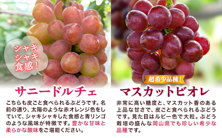 種無しぶどう詰め合わせ 約1kg ぶどう