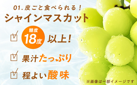 【★先行予約★　8月下旬発送開始】フルーツ詰合せ（シャインマスカット3パック＆梨3個）　広川町 / JAふくおか八女農産物直売所どろや[AFAB088]