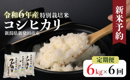 【定期便】令和6年産 新潟県産 特別栽培米コシヒカリ 2㎏×3袋×6か月 米 お米 ごはん 白米 コシヒカリ 佐々木耕起組合 2kg 6ヵ月 プレゼント ギフト 贈答 定期便 特別栽培米 新潟県 新潟産 新発田産