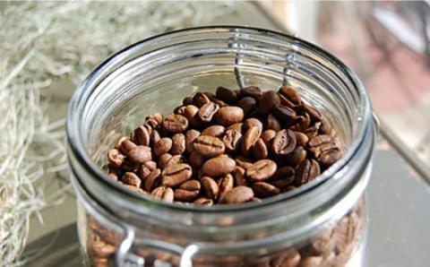 【お中元対象】Petani coffee [COFFEE GIFT] アイスコーヒーゲイシャ種 × 3本 糸島市 / Petani coffee [ALC009]