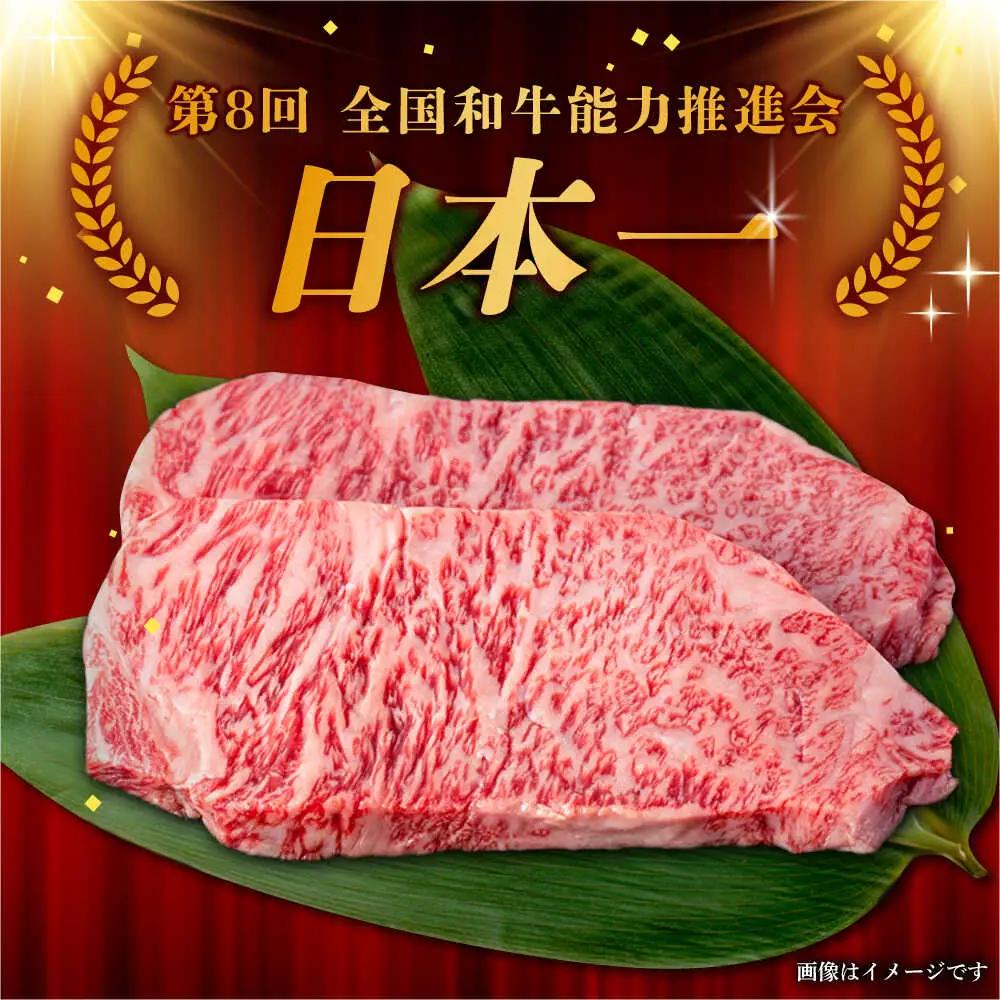 【10月発送】【飛騨牛】 A5等級 サーロイン ステーキ用 10枚 (計2.5kg) 和牛 ブランド牛 国産 牛肉 多治見市 / 渡辺精肉店 [TAZ003-10]