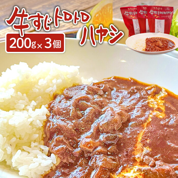 【ふるさと納税】 牛すじ トロトロ ハヤシライス 3個 1食 200g レトルト食品 レトルトハヤシライス ハヤシ 手軽 簡単 すじ肉 肉 牛肉 詰め合わせ セット 保存食 備蓄用 災害備蓄 島根県 大田市