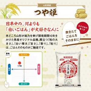 SI0054　【4回定期便】令和7年産 ［無洗米］特別栽培米つや姫　 5kg×4回(計20kg)