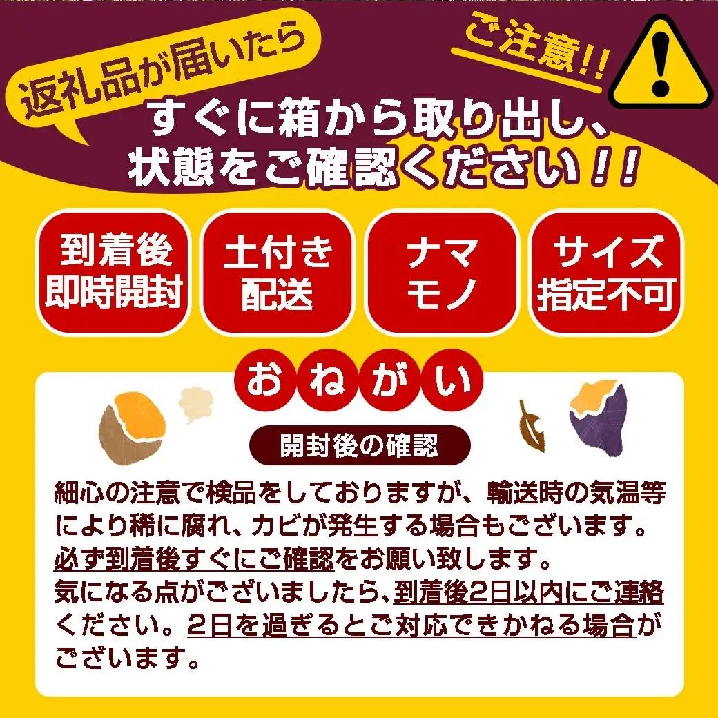 先行受付!【12月お届け】【農家直送】山下農園　熟成紅はるか 5kg〔LD-I704-12〕_(都城市) 都城産 紅はるか S～2Lサイズ混合 山下農園 さつまいも兄弟 長期熟成 甘い