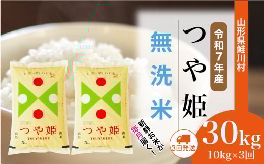 ＜令和7年産米＞ 特別栽培米 つや姫 【無洗米】 定期便 30kg （10kg×1ヶ月間隔で3回お届け）＜配送時期選べます＞　山形県鮭川村