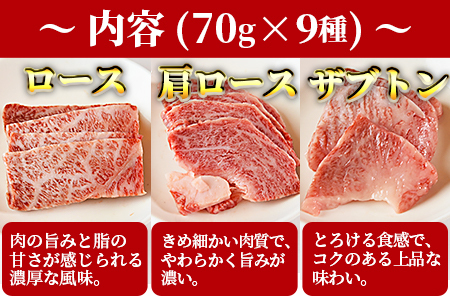 ＜宮崎牛焼肉9種盛（約630g）＞翌月末迄に順次出荷【 牛肉 和牛 黒毛和牛 肩ロース モモ ウデ 赤身 霜降り 国産 食べ比べ バーベキュー 食べ比べ 】【a0479_em_x3】