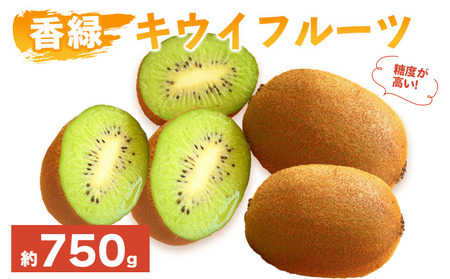 先行予約 キウイフルーツ 香緑 約750g キウイ