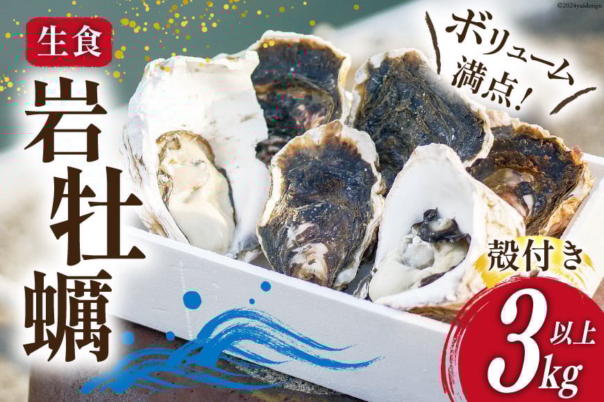 
            【期間限定発送】 岩牡蠣 生食 3kg 以上 [天洋丸 長崎県 雲仙市 item1907] 牡蠣 かき カキ 冷凍 いわがき 岩がき 殻付 殻付き 先行予約
          