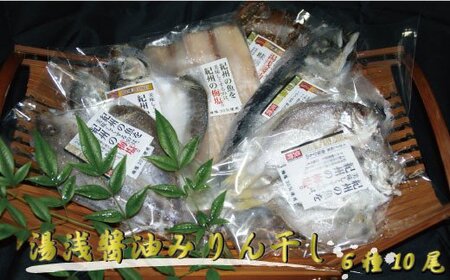 干物 ひもの さば アジ 秋刀魚 さんま 鯖 / 湯浅醤油みりん干し6品種10尾入りの詰め合わせ【tec201】