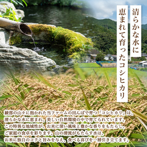 【令和7年度産】 減農薬コシヒカリ 精米 10kg / 米 白米 減農薬 綾部市 / 森本ファーム［BSDH042］