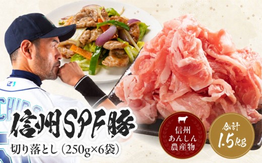 【訳あり】 信州SPF豚 切り落とし 1.5kg ( 250g×6袋 ) | 訳あり 不揃い SPF豚 豚 豚肉 ポーク お肉 切落し 肉 信州 南信州 送料無料 ふるさと納税 長野県 飯田市